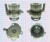AQUAPLUS 85-8155 Water Pump